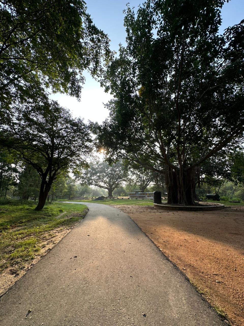 Danigala Gallery Image